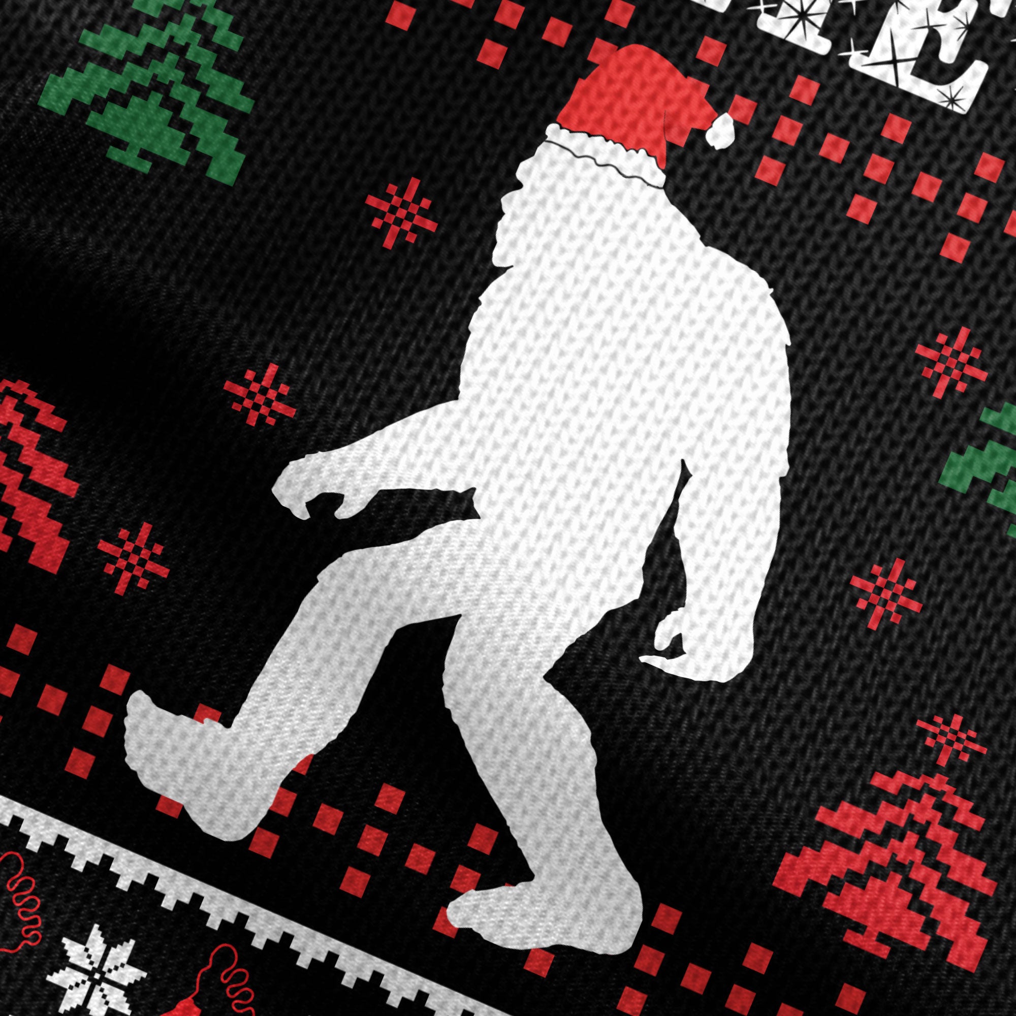 Santa Squatch Belief
