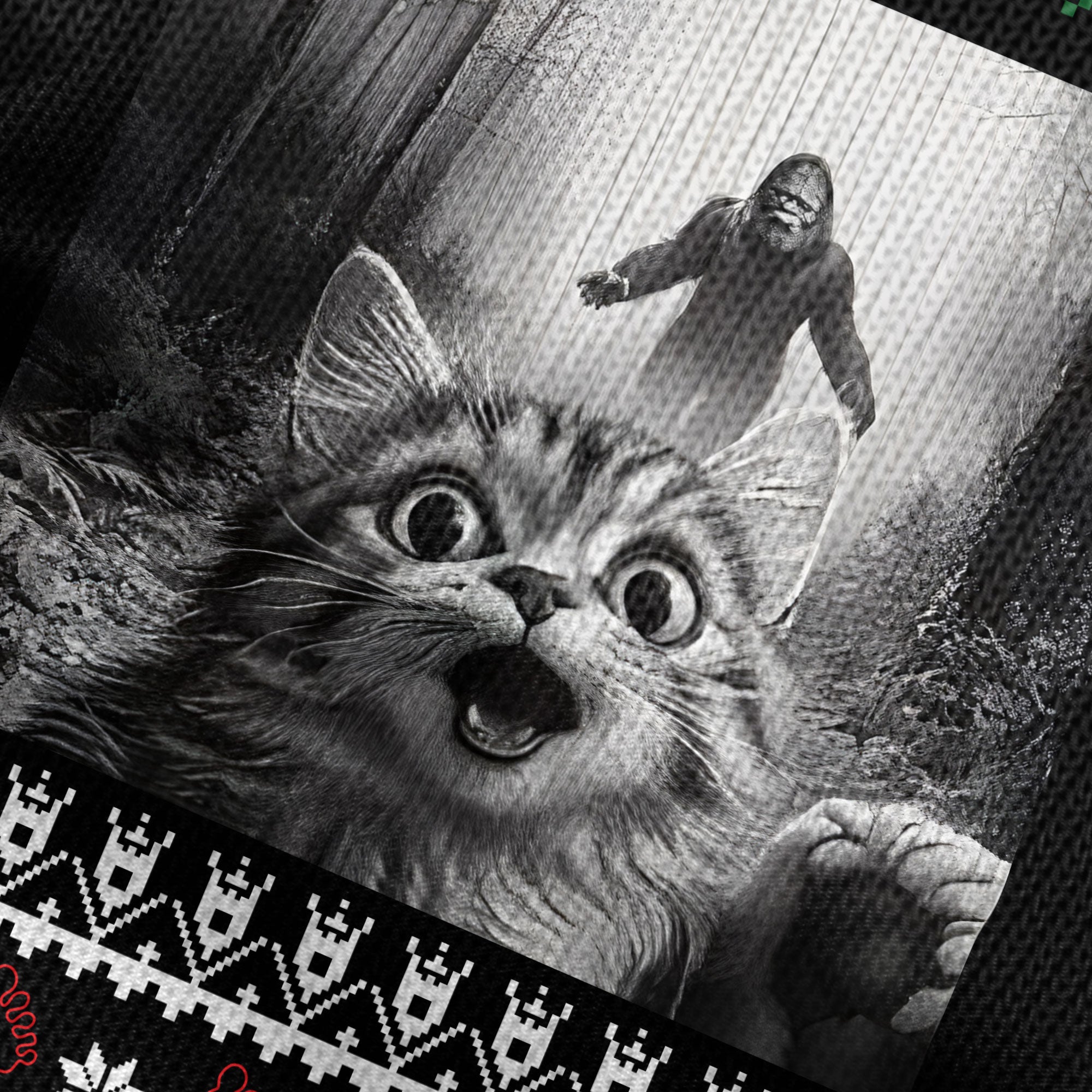 Scaredy Cat Squatch