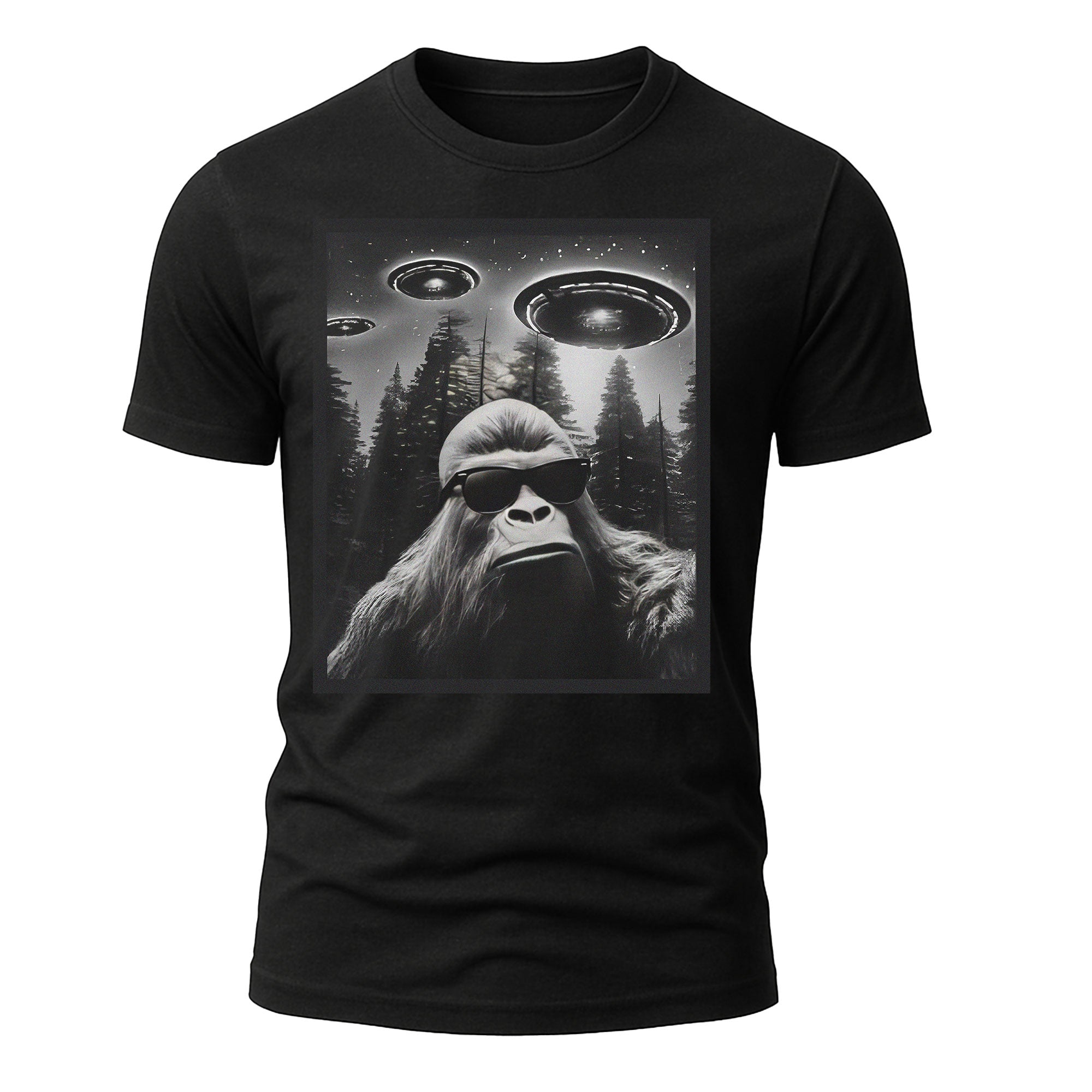 Sasquatch UFO Style
