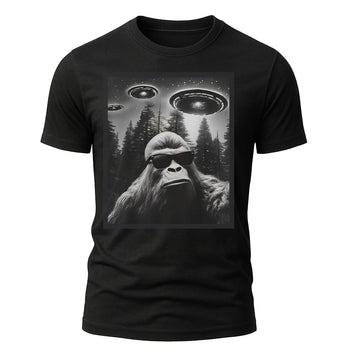 Sasquatch UFO Style