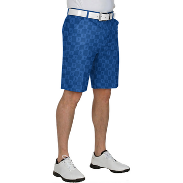Blue Legend Check